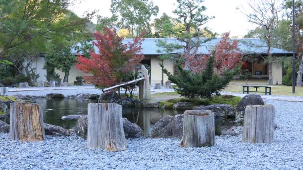 Japanese traditional garden at the park in autumn — Stock Video
