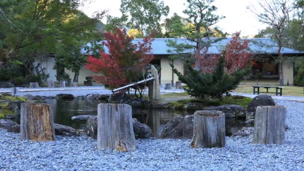Tradycyjny ogród japoński w parku jesienią — Wideo stockowe