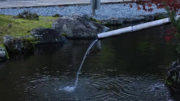 Giardino tradizionale giapponese al parco in autunno — Video Stock