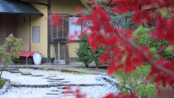 가 전통적인 마에 붉은 잎 — 비디오