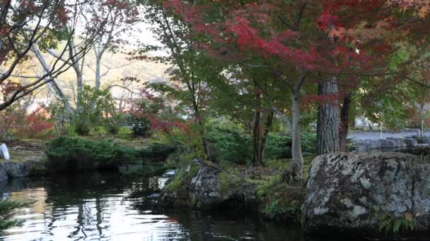 Foglie rosse nel tradizionale villaggio in autunno — Video Stock