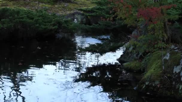 Rode bladeren bij het traditionele dorp in de herfst — Stockvideo