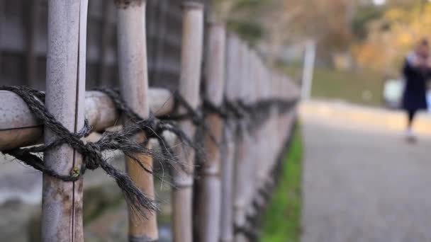 Vecchia strada in stile vicino alla partizione di bambù palmare nel tradizionale centro di Hikone Shiga — Video Stock