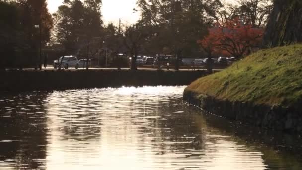 Amplo Fosso Portátil Tradicional Centro Cidade Hikone Shiga Hikone Shi — Vídeo de Stock