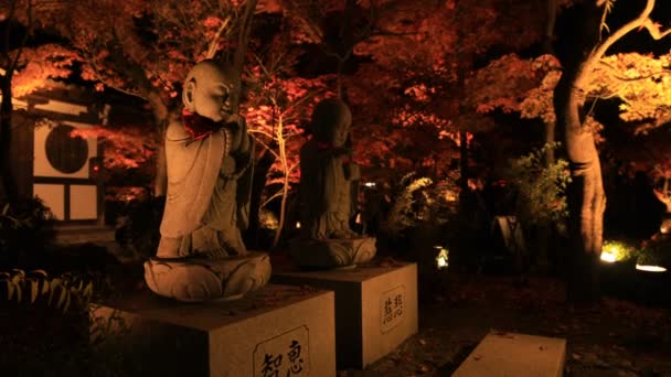 Upplysta röda blad i den traditionella parken på Eikandou i Kyoto Japan höst — Stockvideo
