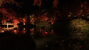 Kyoto Japonya 'daki geleneksel Eikandou parkında yanan kırmızı yapraklar.