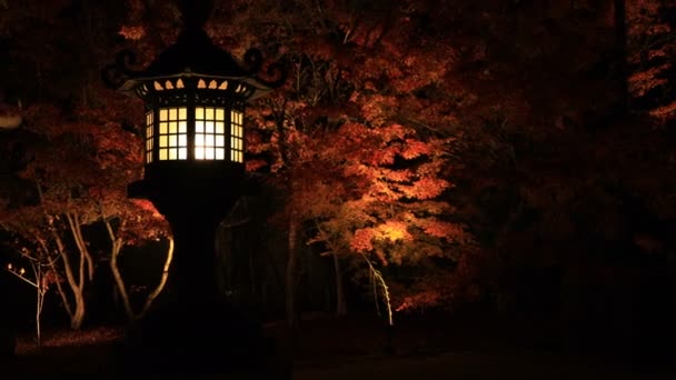 Foglie rosse illuminate e lanterna nel parco tradizionale di Eikandou a Kyoto autunno Giappone — Video Stock