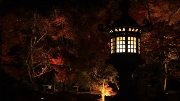 Hojas rojas iluminadas y linterna en el parque tradicional de Eikandou en Kyoto Japón otoño — Vídeos de Stock