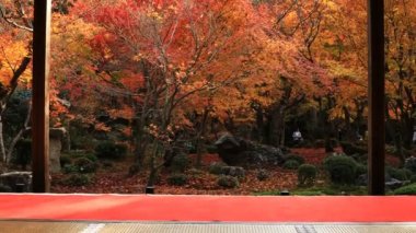 Sakyo bölgesinde Kyoto Enkouji Tapınağı'nda geleneksel parkta kırmızı yaprakları