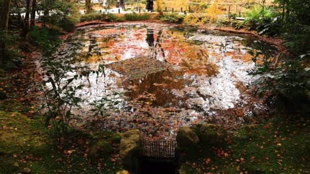 Foglie rosse nel tradizionale parco del tempio di Enkouji nel distretto di Sakyo Kyoto — Video Stock