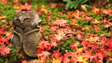 Heykel Sakyo bölgesinde Kyoto Enkouji Tapınağı'nda üst kısmında kırmızı yaprakları