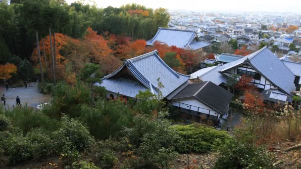 Geniş atış Sakyo taslağı Kyoto Enkouji Tapınağı'nda geleneksel parkta kırmızı yaprakları — Stok video