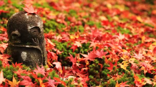 Красные листья на вершине статуи в храме Энкодзи в районе Сакё Киото — стоковое видео