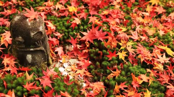 Heykel Sakyo bölgesinde Kyoto Enkouji Tapınağı'nda üst kısmında kırmızı yaprakları — Stok video