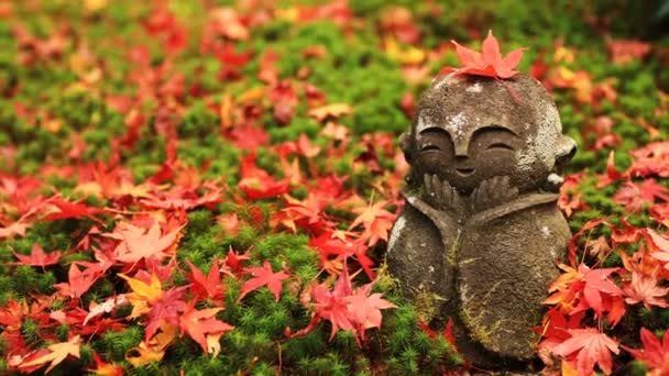 Hojas rojas en la parte superior de la estatua en el templo de Enkouji en el distrito de Sakyo Kyoto — Vídeos de Stock