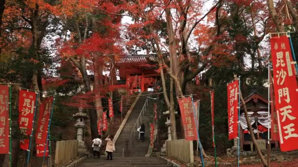 Red laat in de herfst bij Bishamondou in Yamashina district in Kyoto breed schot — Stockvideo