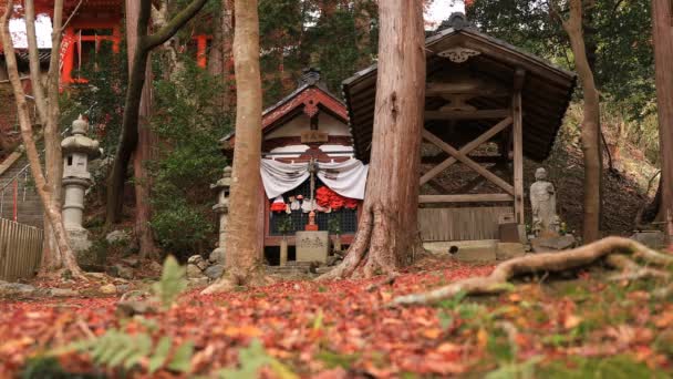 Hojas rojas en otoño en Bishamondou en el distrito de Yamashina en Kyoto tiro ancho — Vídeos de Stock