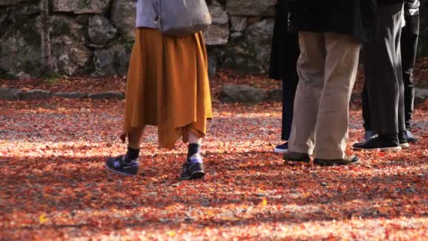 Lichaamsdelen van mensen op de rode bladeren bij Bishamondou in Kyoto-Yamashina district — Stockvideo