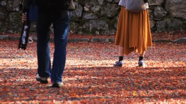 Vücut parçaları Yamashina taslağı Kyoto, Bishamondou adlı kırmızı yaprakları üzerinde insanların — Stok video