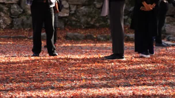 京都の山科地区で Bishamondou で紅葉の人々 の体の部分 — ストック動画