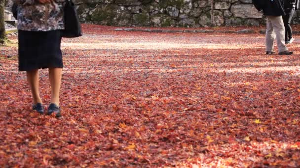 Vücut parçaları Yamashina taslağı Kyoto, Bishamondou adlı kırmızı yaprakları üzerinde insanların — Stok video