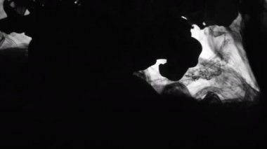 Koolhaus siyah mürekkep su arkasında beyaz arka plan