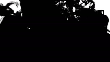 Koolhaus siyah mürekkep su arkasında beyaz arka plan