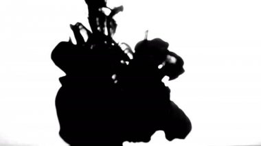 Koolhaus siyah mürekkep su arkasında beyaz arka plan