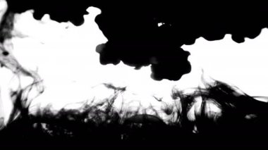 Koolhaus siyah mürekkep su arkasında beyaz arka plan