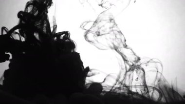 Koolhaus siyah mürekkep su arkasında beyaz arka plan