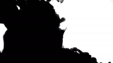 Koolhaus siyah mürekkep su arkasında beyaz arka plan