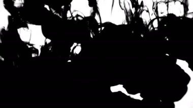 Koolhaus siyah mürekkep su arkasında beyaz arka plan