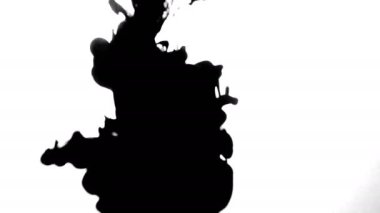 Koolhaus siyah mürekkep su arkasında beyaz arka plan