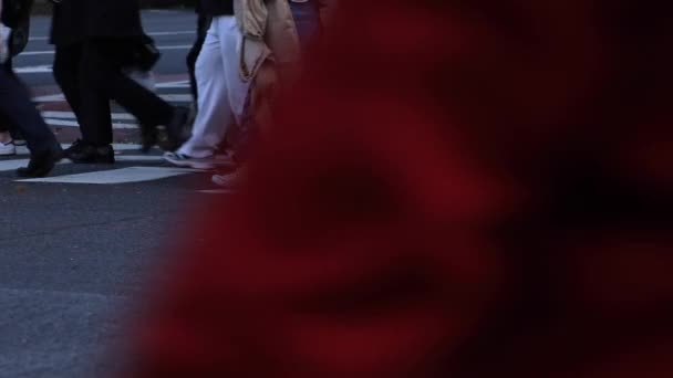 Gehende Menschen an der Shibuya Kreuzung von Körperteilen — Stockvideo