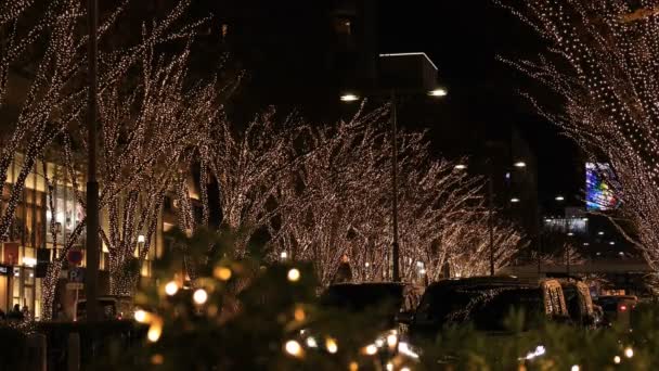 Neon light at the street in Omotesando Tokyo — Stock Video