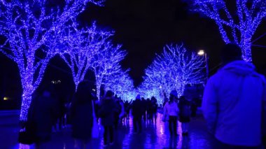 Mavi aydınlatmalı ışık Harajuku Tokyo sokak