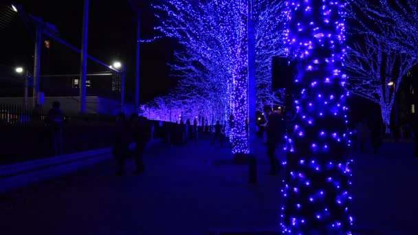 Luz azul iluminada na rua em Harajuku Tóquio — Vídeo de Stock