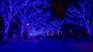 Mavi aydınlatmalı ışık Harajuku Tokyo sokak