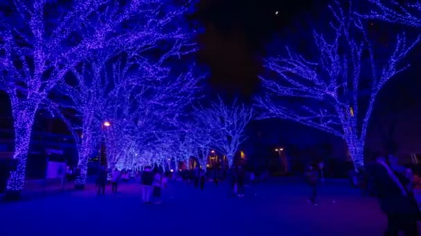 東京原宿の街で青色の照明光 — ストック動画
