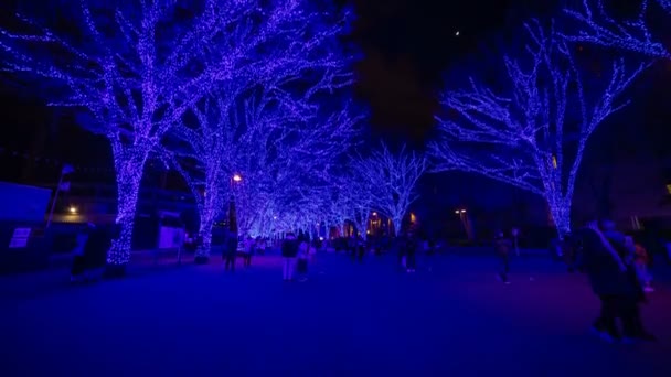 Blue illuminated light at the street in Harajuku Tokyo — Stock Video