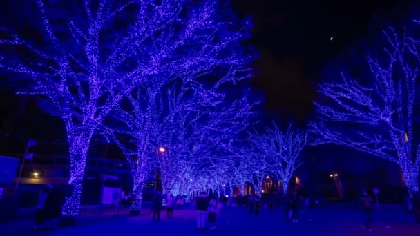 Blue illuminated light at the street in Harajuku Tokyo — Stock Video