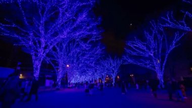Mavi aydınlatmalı ışık Harajuku Tokyo sokak