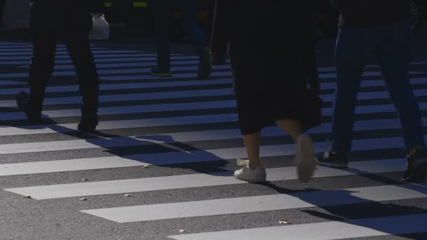 Chodící lidé tělo díly na křižovatce ve městě podnikání v Shinjuku Tokyo — Stock video