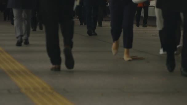 Yürüyen insanlar vücut parçaları Shinjuku Tokyo iş kasaba Street — Stok video