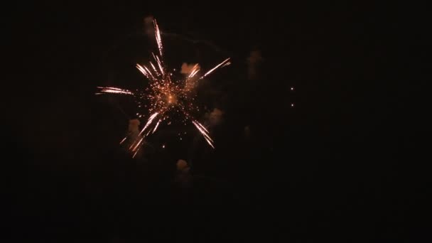 Fuegos artificiales detrás del cielo oscuro en Odaiba Tokio por la noche — Vídeo de stock