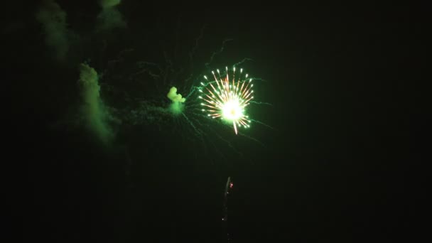 Fuegos artificiales detrás del cielo oscuro en Odaiba Tokio por la noche — Vídeos de Stock