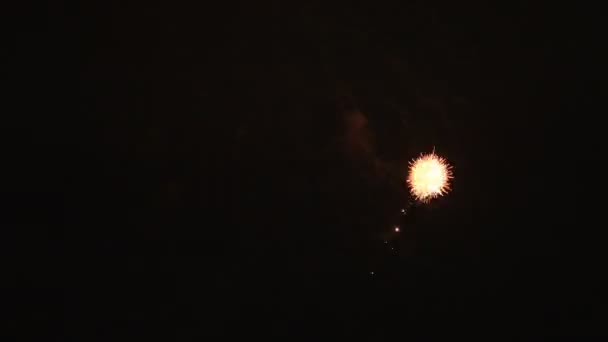 Feuerwerk hinter dem dunklen Himmel in odaiba tokyo bei Nacht — Stockvideo