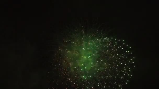夜お台場東京の暗い空の背後にある花火 — ストック動画