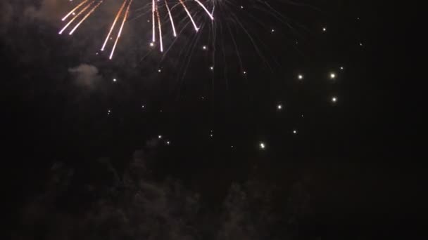 Mögött a sötét ég Odaiba Tokióban, az éjszakai tűzijáték — Stock videók