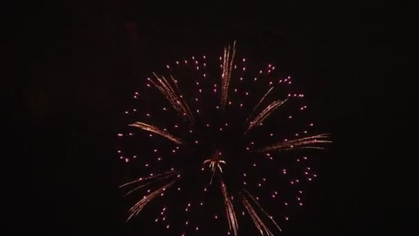 Feux d'artifice derrière le ciel étoilé à Odaiba Tokyo la nuit — Video